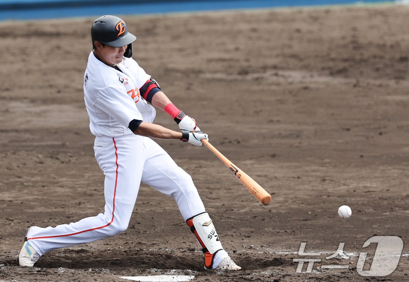 본문 이미지 - 한화 이글스 심우준. /뉴스1 DB ⓒ News1 허경 기자