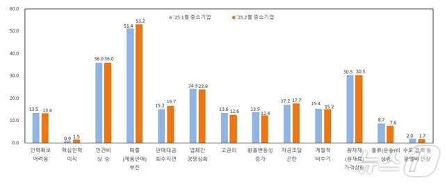 본문 이미지 - 중소기업 경영상 애로사항(복수응답) (중소기업중앙회 제공)