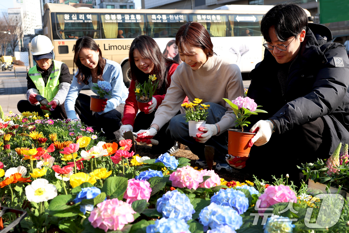 (서울=뉴스1) = 서울 성동구청 공원녹지과 직원들이 27일 오전 서울 성동구 왕십리광장에서 봄을 맞아 꽃 식재 작업을 하고 있다. (성동구청 제공. 재판매 및 DB 금지) 202 …