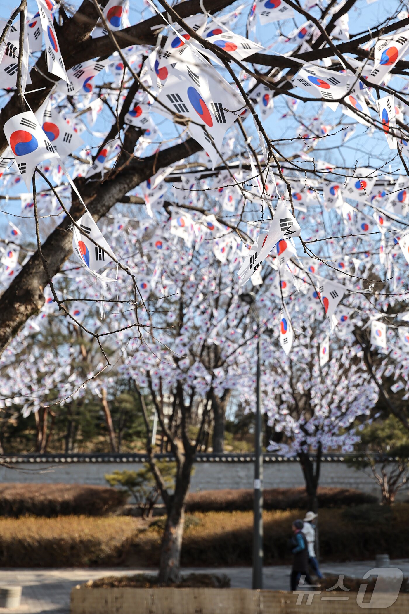 본문 이미지 - 3.1절을 이틀 앞둔 27일 오후 서울 용산구 효창공원에 태극기 거리가 조성돼 있다. 2025.2.27/뉴스1 ⓒ News1 김도우 기자