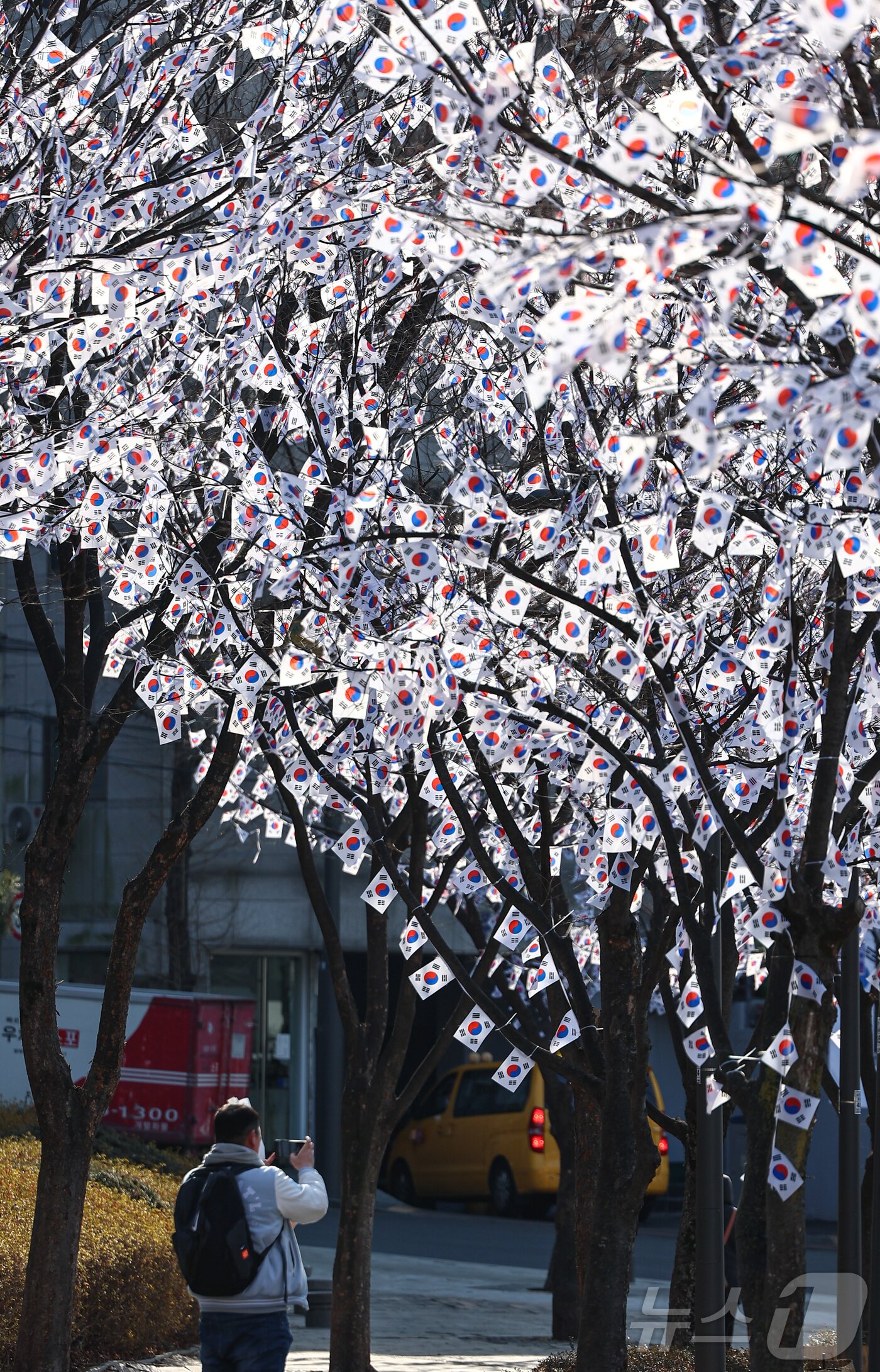 본문 이미지 - 3.1절을 이틀 앞둔 27일 오후 서울 용산구 효창공원에 태극기 거리가 조성돼 있다. 2025.2.27/뉴스1 ⓒ News1 김도우 기자