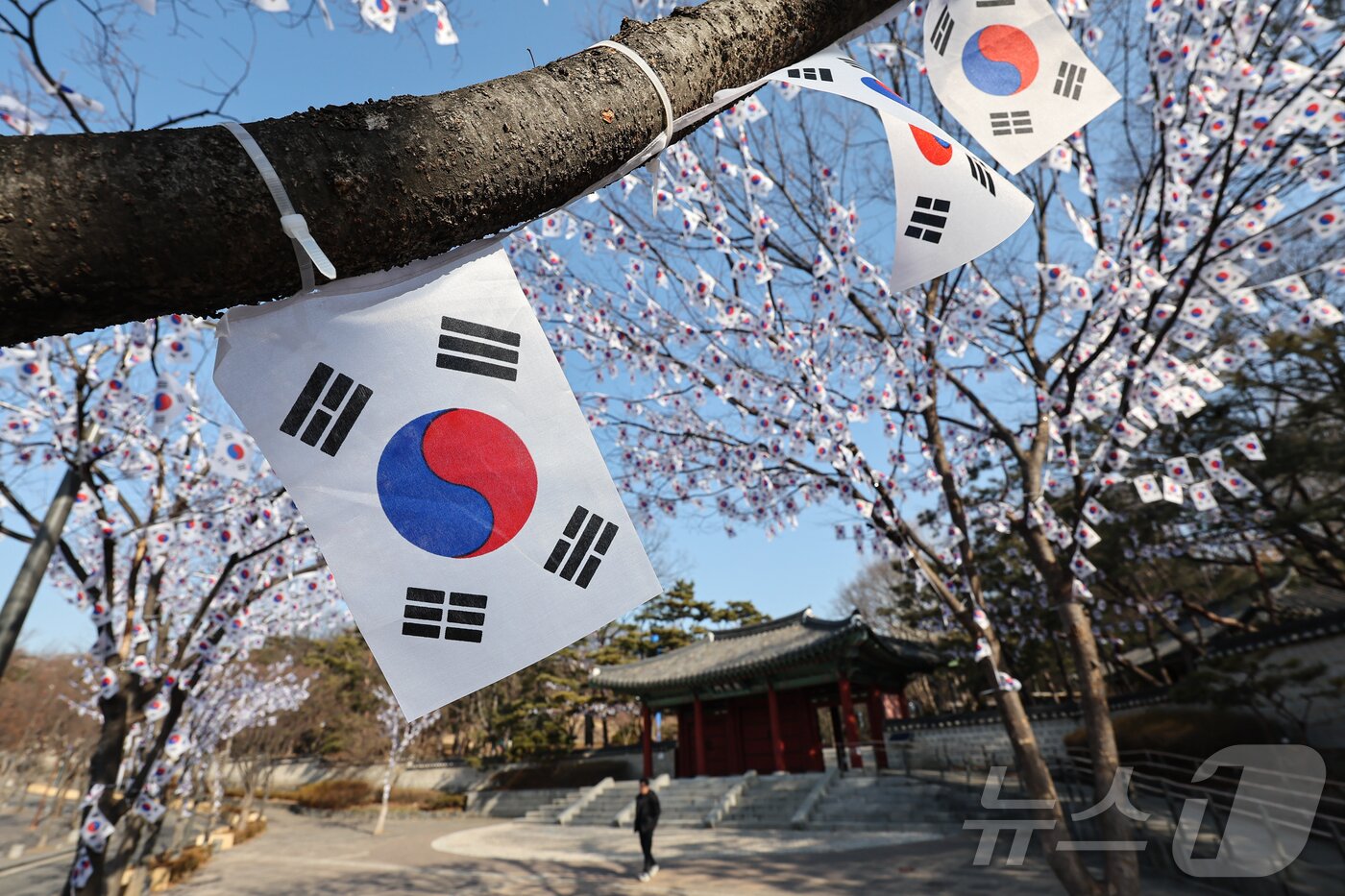 본문 이미지 - 3.1절을 이틀 앞둔 27일 오후 서울 용산구 효창공원에 태극기 거리가 조성돼 있다. 2025.2.27/뉴스1 ⓒ News1 김도우 기자