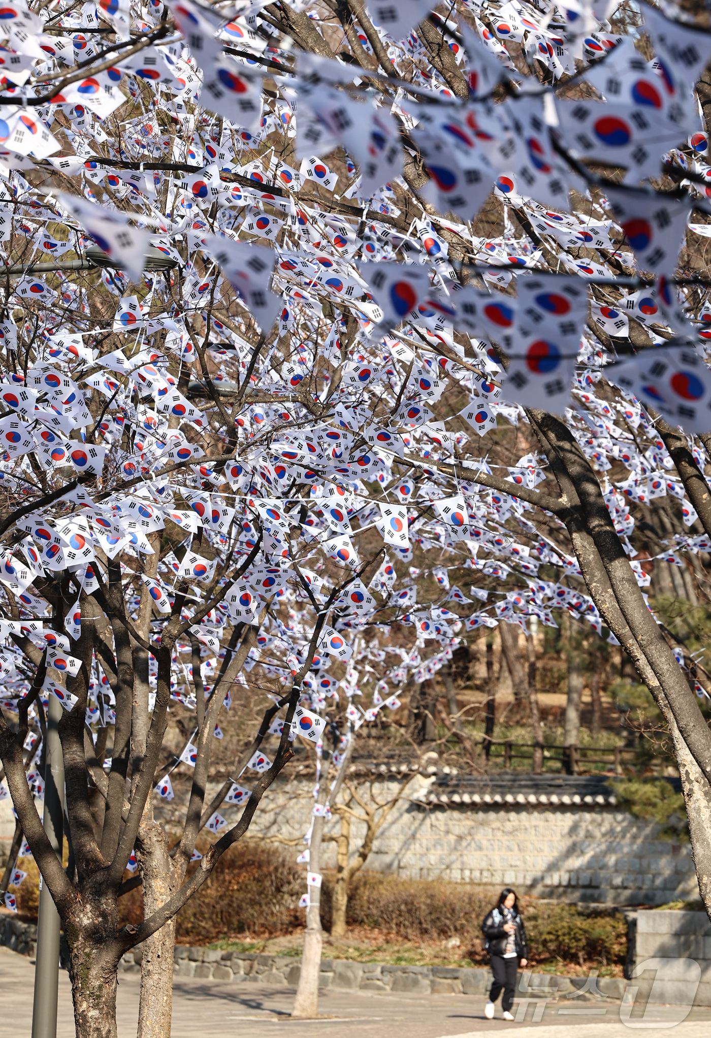 (서울=뉴스1) 김도우 기자 = 3.1절을 이틀 앞둔 27일 오후 서울 용산구 효창공원에 태극기 거리가 조성돼 있다. 2025.2.27/뉴스1
