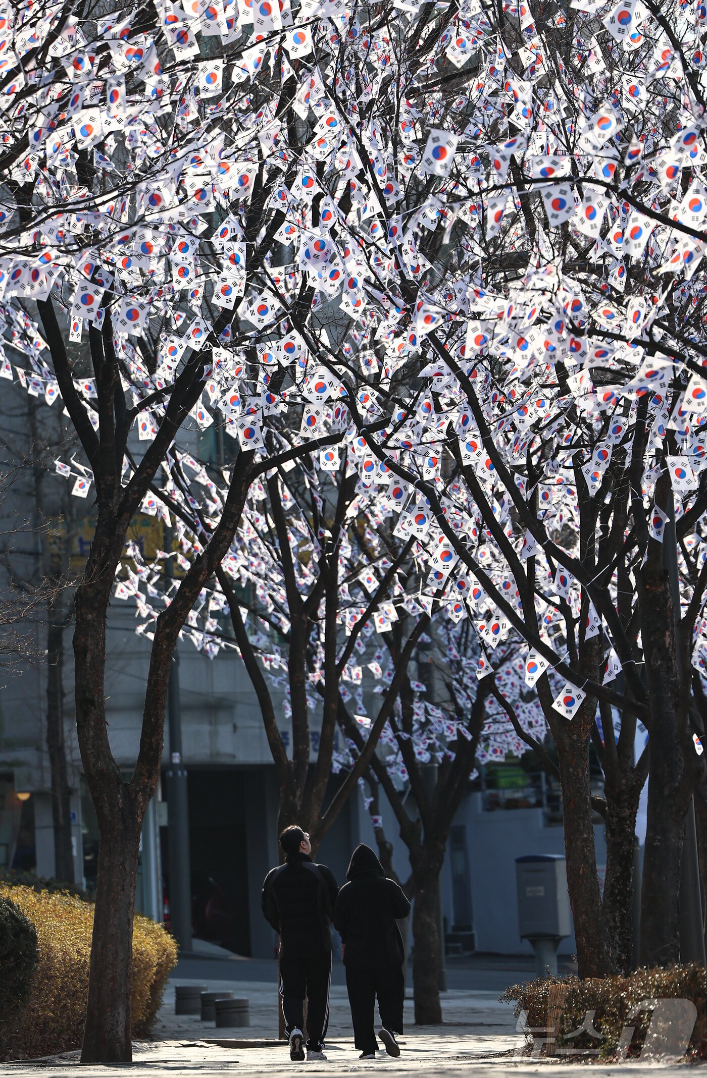 본문 이미지 - 3.1절을 이틀 앞둔 27일 오후 서울 용산구 효창공원에 태극기 거리가 조성돼 있다. 2025.2.27/뉴스1 ⓒ News1 김도우 기자