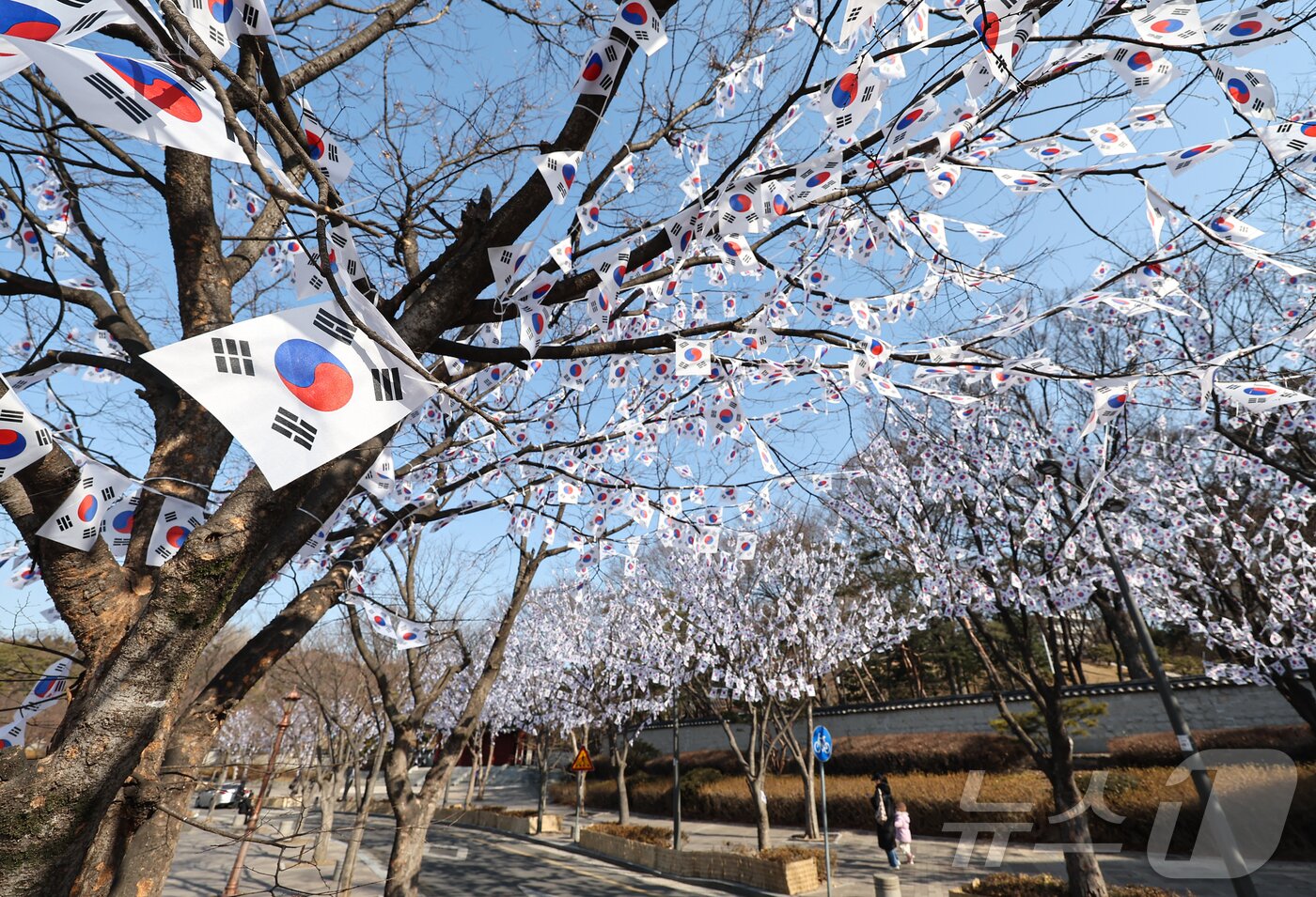 본문 이미지 - 3.1절을 이틀 앞둔 27일 오후 서울 용산구 효창공원에 태극기 거리가 조성돼 있다. 2025.2.27/뉴스1 ⓒ News1 김도우 기자
