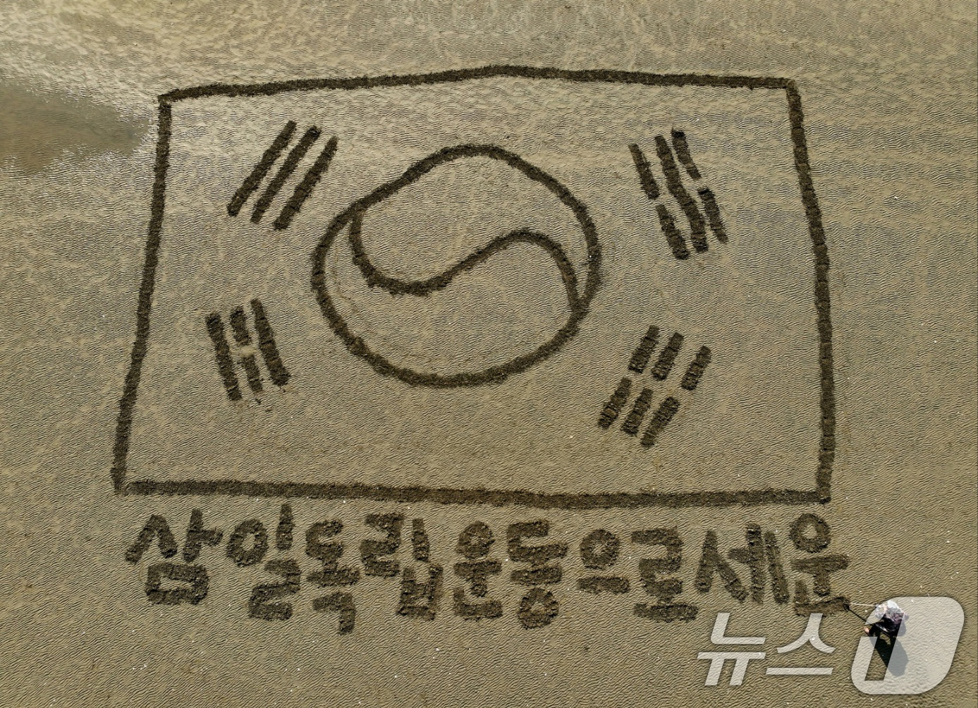 (포항=뉴스1) 최창호 기자 = 서예가 김동욱 씨가 27일 경북 포항시 송도해수욕장 백사장에서 3.1절을 맞아 가로 31m, 세로 20.3m 크기의 대형 태극기 퍼포먼스를 하고 있 …