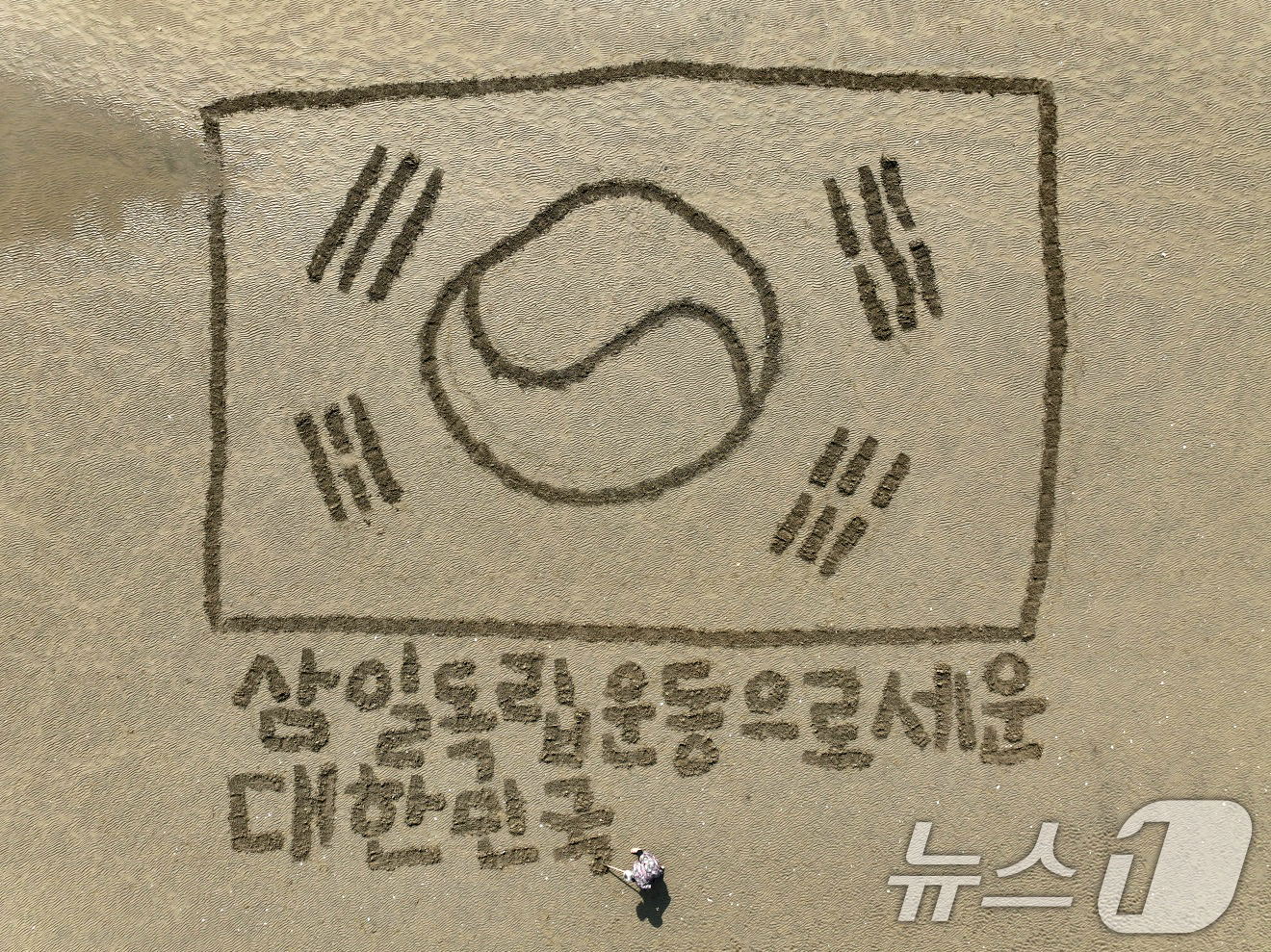 (포항=뉴스1) 최창호 기자 = 서예가 김동욱 씨가 27일 경북 포항시 송도해수욕장 백사장에서 3.1절을 맞아 가로 31m, 세로 20.3m 크기의 대형 태극기 퍼포먼스를 하고 있 …