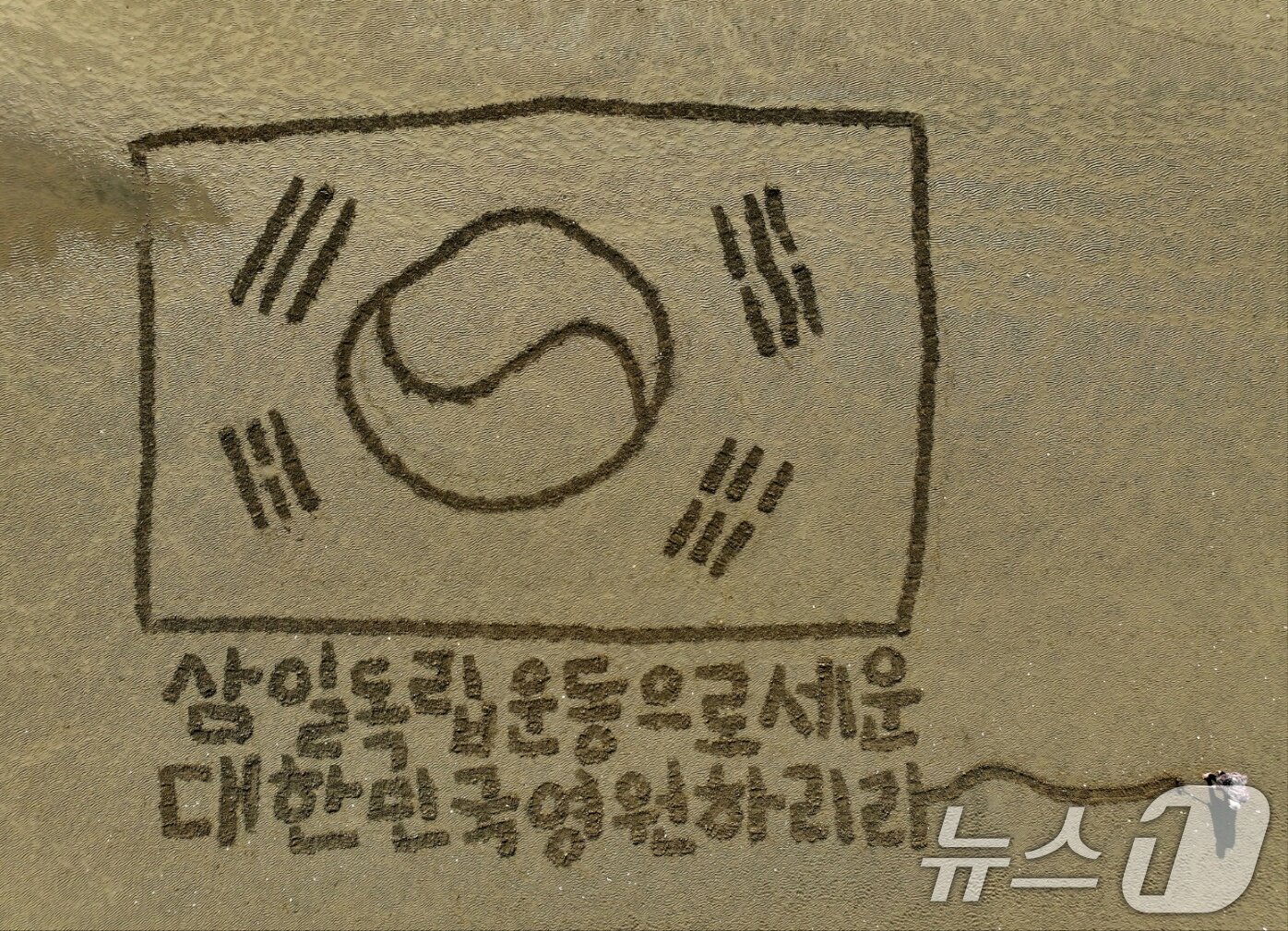 본문 이미지 - 서예가 김동욱 씨가 27일 경북 포항시 송도해수욕장 백사장에서 3.1절을 맞아 가로 31m, 세로 20.3m 크기의 대형 태극기 퍼포먼스를 하고 있다. (서예가 김동욱 씨제공, 재판매 및 DB 금지) 2025.2.27/뉴스1 ⓒ News1 최창호 기자