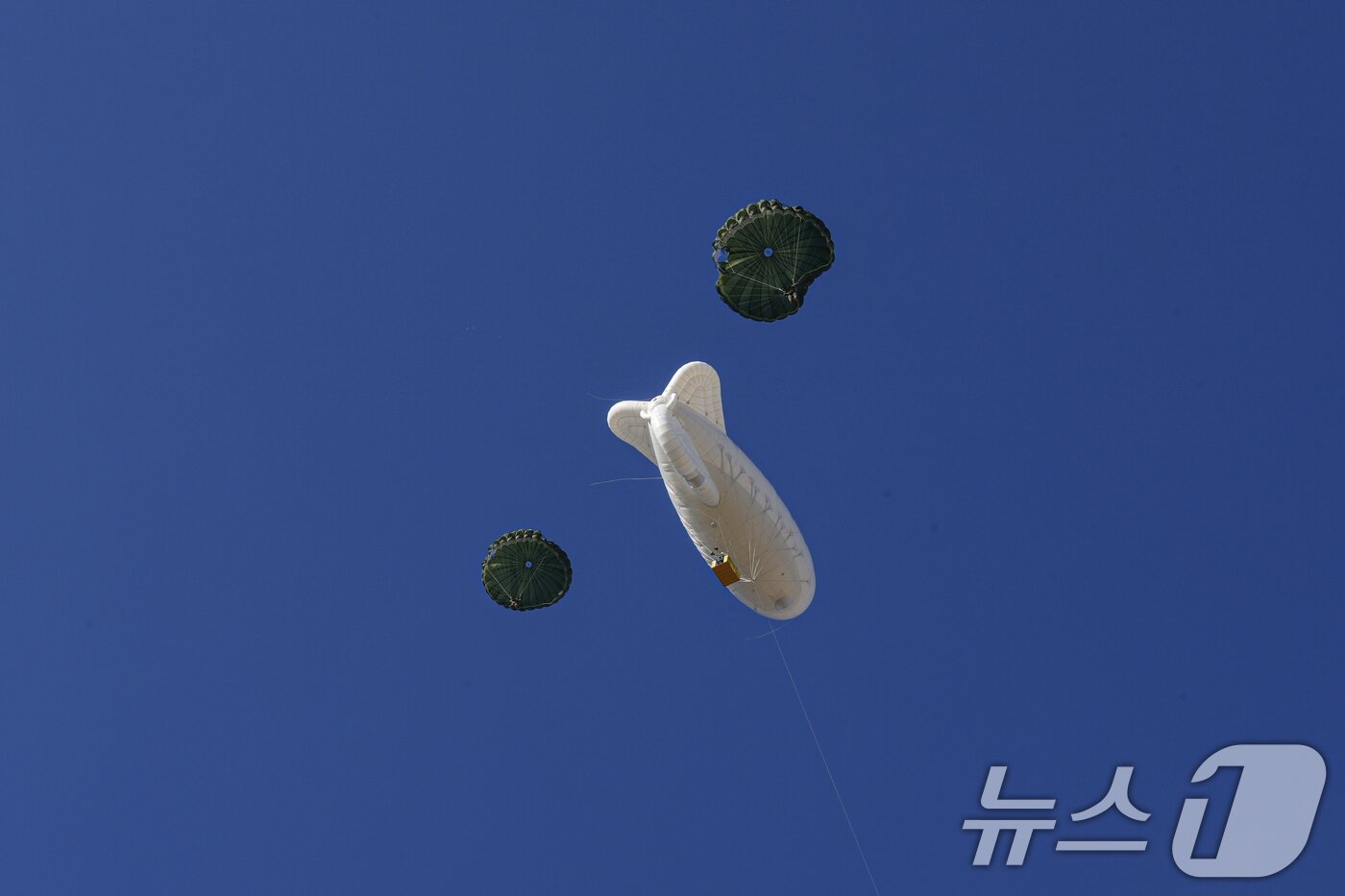 본문 이미지 - 해병대는 지난 10일부터 포항 일대에서 실전적인 공정작전 임무수행 능력을 배양하기 위해 올해 첫 공수기본교육&#40;266차&#41;을 실시했다고 28일 밝혔다. 해병대 교육훈련단 공수기본 266차 교육생들이 강하훈련을 하고 있다. &#40;해병대사령부 제공. 재판매 및 DB 금지&#41; 2025.2.28/뉴스1