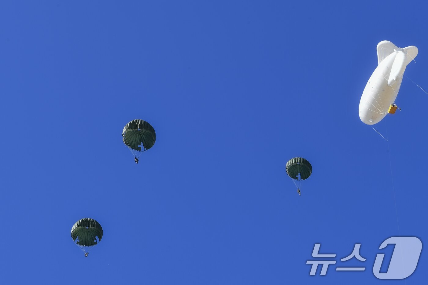 본문 이미지 - 해병대는 지난 10일부터 포항 일대에서 실전적인 공정작전 임무수행 능력을 배양하기 위해 올해 첫 공수기본교육&#40;266차&#41;을 실시했다고 28일 밝혔다. 해병대 교육훈련단 공수기본 266차 교육생들이 강하훈련을 하고 있다. &#40;해병대사령부 제공. 재판매 및 DB 금지&#41; 2025.2.28/뉴스1