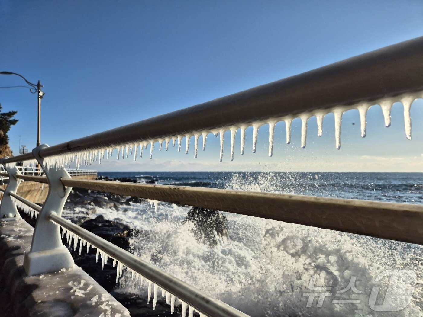 본문 이미지 - 강원 대부분 지역에 한파특보가 발효된 4일 동해안 대표 해안도로인 강릉시 강동면 헌화로 난간에 고드름이 달려 있다. 2025.2.5/뉴스1 ⓒ News1 윤왕근 기자