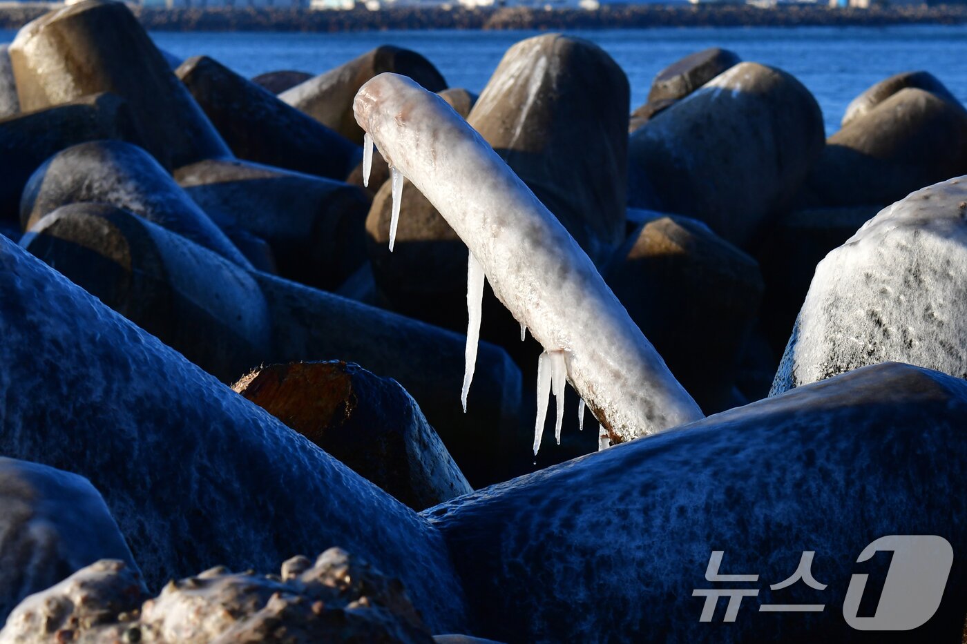 본문 이미지 - 4일 오전 경북 포항시 북구 환여동 해안가에 있는 테트라포드 위에 얼음이 가득하다. 이날 포항지역 최저기온은 영하 6.1도, 체감 기온은 영하 11.5도를 기록했다. 2025.2.4/뉴스1 ⓒ News1 최창호 기자