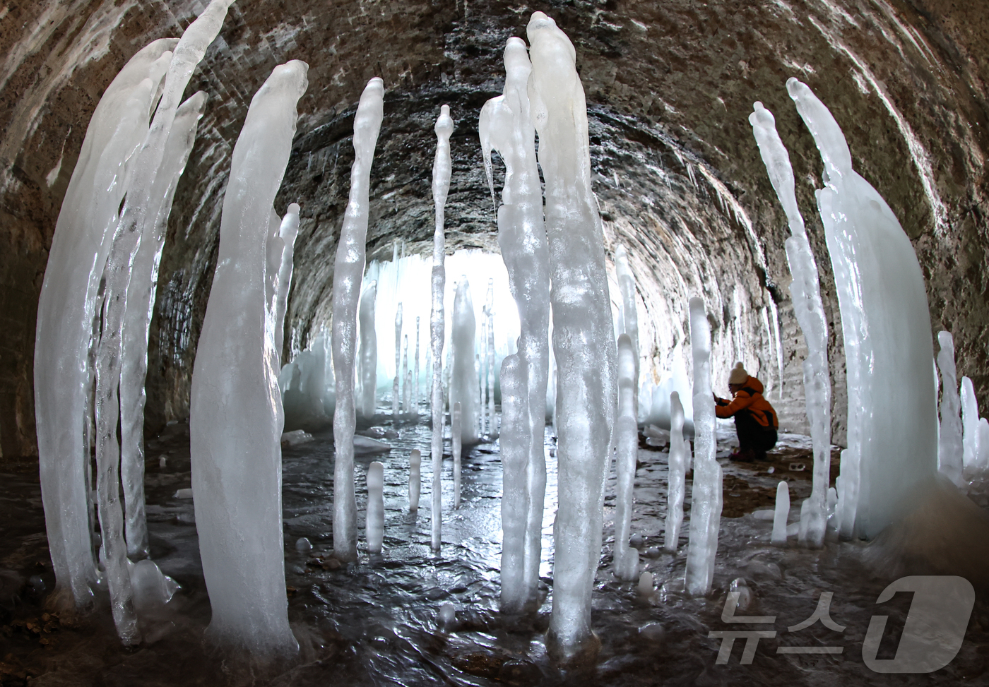 (연천=뉴스1) 김도우 기자 = 전국 대부분 지역에 한파경보가 내려진 4일 경기 연천군 신서면 경원선 폐터널에 역고드름이 솟아올라 장관을 펼치고 있다. 2025.2.4/뉴스1