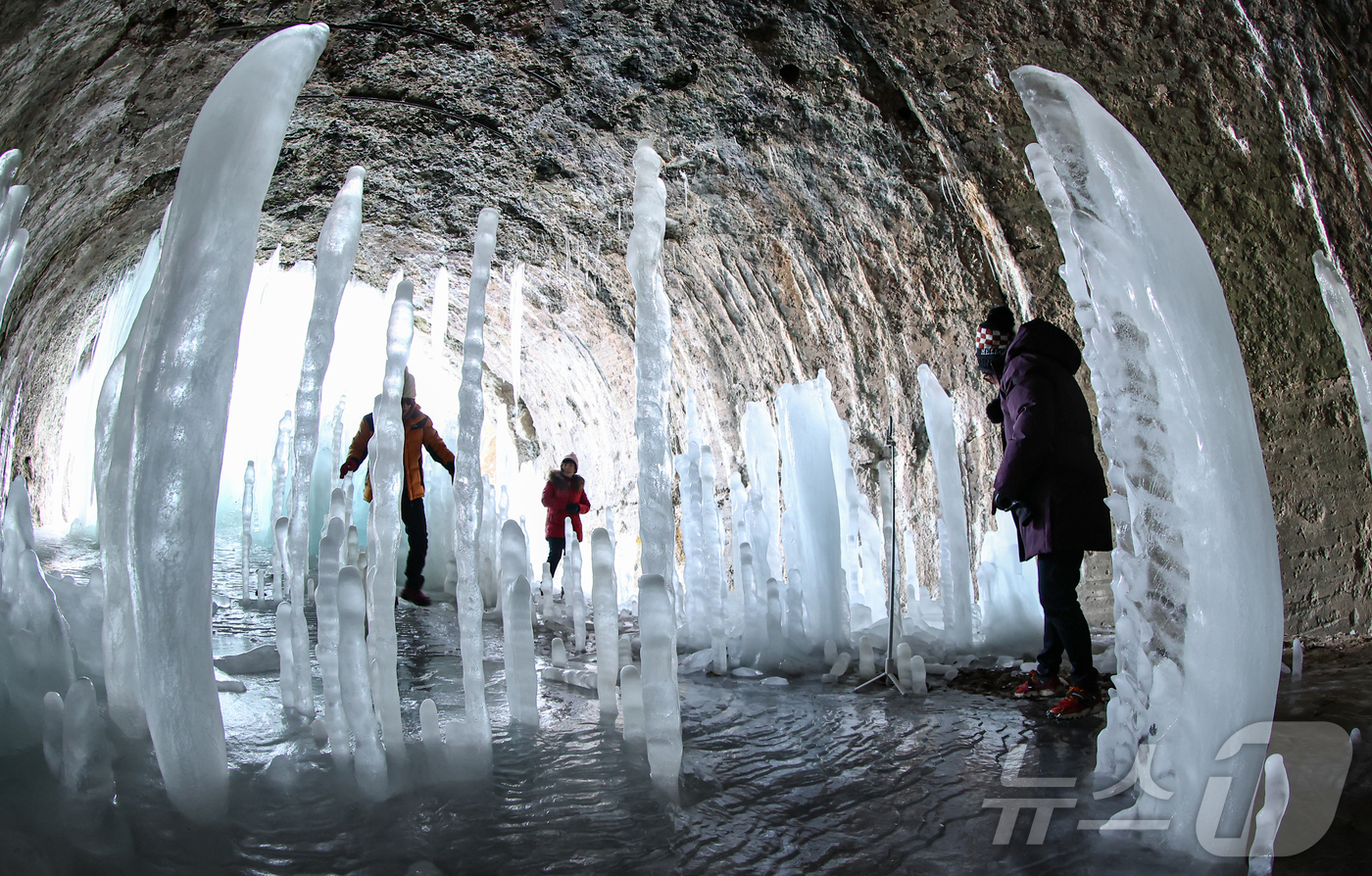 (연천=뉴스1) 김도우 기자 = 전국 대부분 지역에 한파경보가 내려진 4일 경기 연천군 신서면 경원선 폐터널에 역고드름이 솟아올라 장관을 펼치고 있다. 2025.2.4/뉴스1