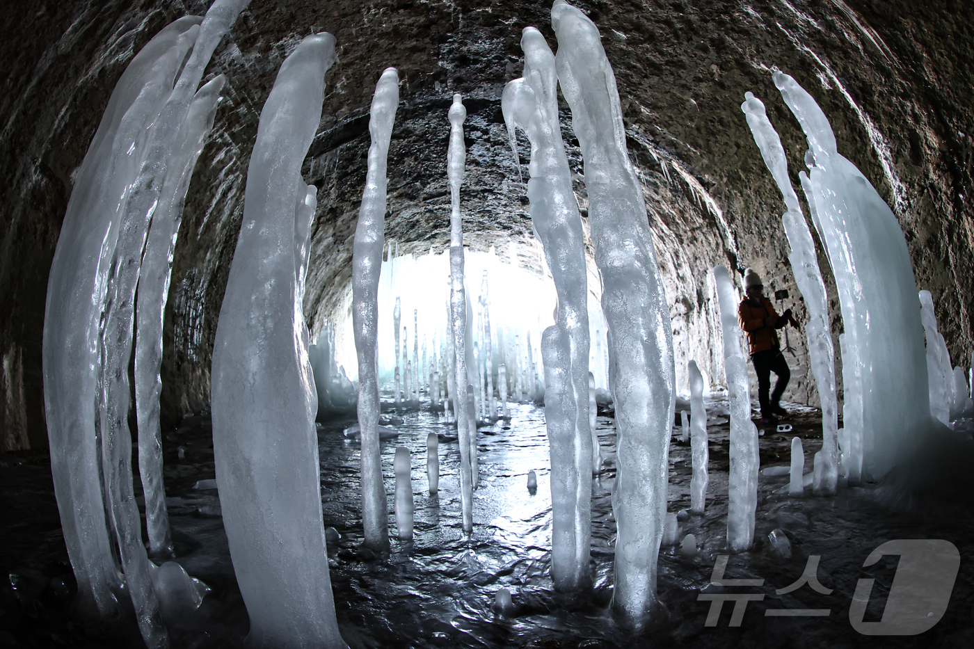 (연천=뉴스1) 김도우 기자 = 전국 대부분 지역에 한파경보가 내려진 4일 경기 연천군 신서면 경원선 폐터널에 역고드름이 솟아올라 장관을 펼치고 있다. 2025.2.4/뉴스1