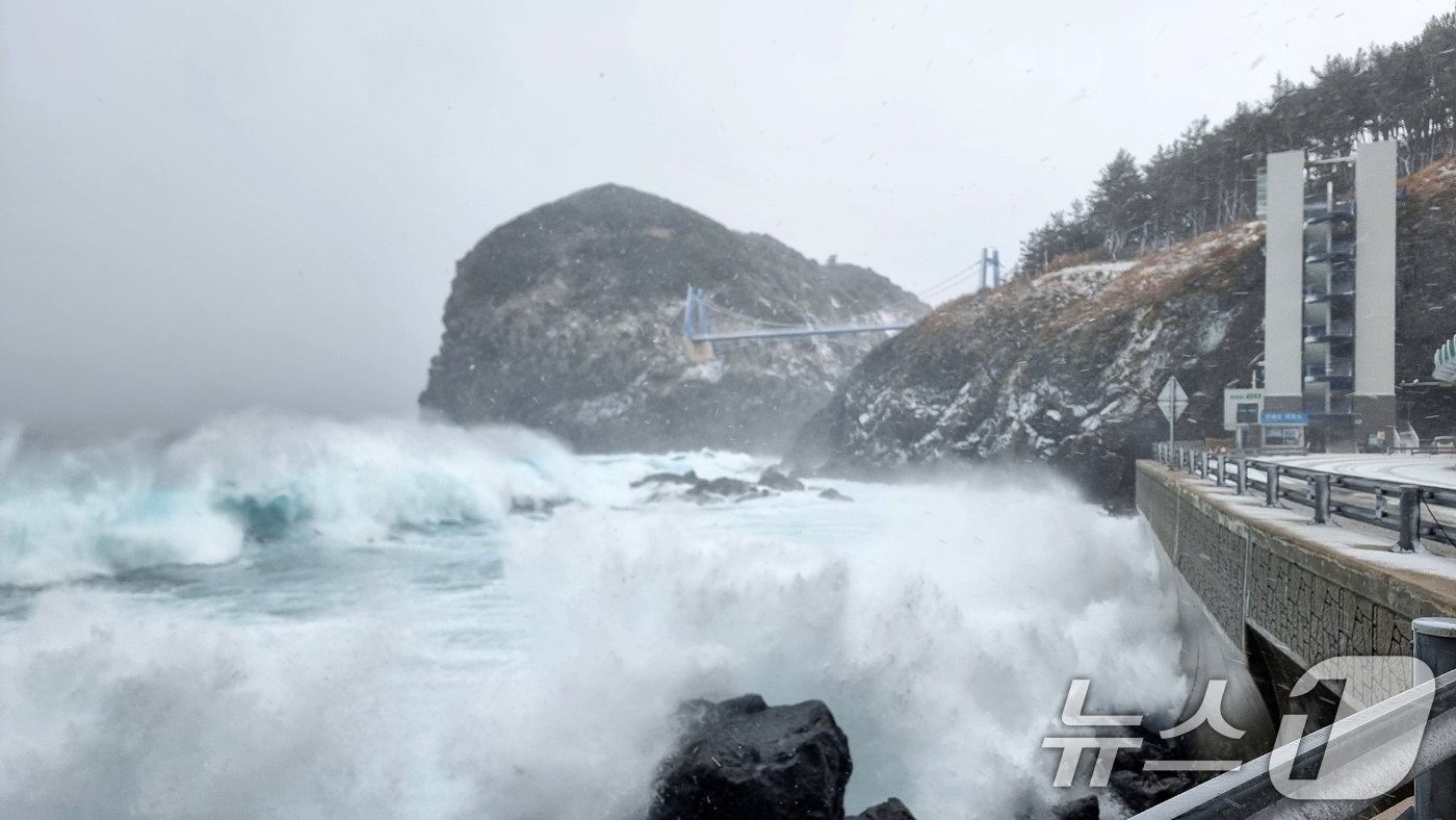 (울릉=뉴스1) 최창호 기자 = 4일 대설경보가 발령된 경북 울릉도 전역에 눈보라가 몰아치고 있다.대구기상청은 "동해상에 발달한 눈 구름대의 영향으로 울릉도와 독도에 시간당 3~5 …