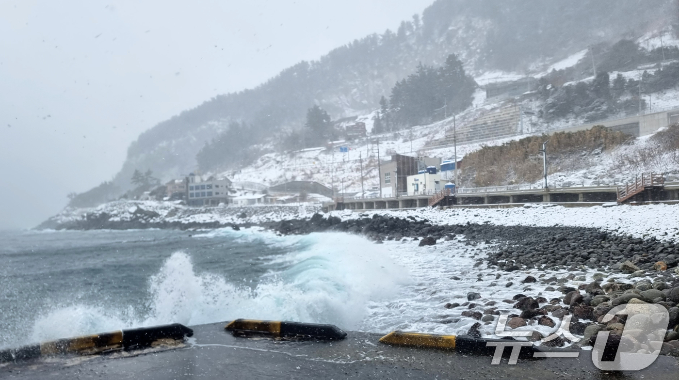 (울릉=뉴스1) 최창호 기자 = 4일 대설경보가 발령된 경북 울릉도 전역에 눈보라가 몰아치고 있다.대구기상청은 "동해상에 발달한 눈 구름대의 영향으로 울릉도와 독도에 시간당 3~5 …