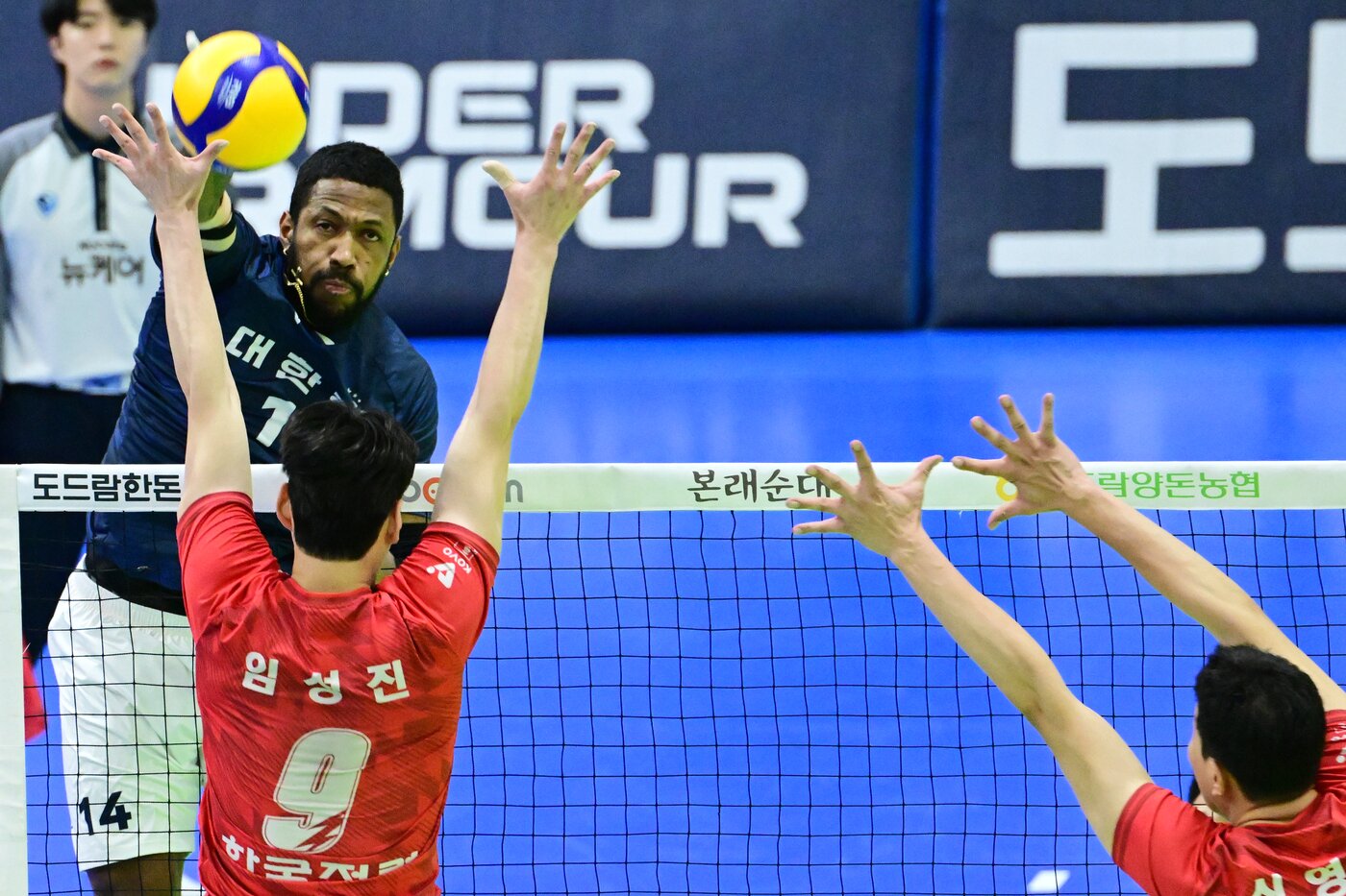 본문 이미지 - 대한항공 외국인 선수 요스바니. &#40;KOVO 제공&#41;