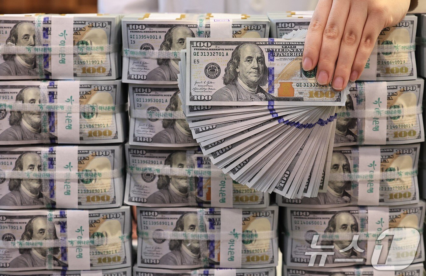 본문 이미지 - 5일 오전 서울 중구 하나은행 위변조대응센터에서 은행 관계자가 달러화를 정리하고 있다. 2025.2.5/뉴스1 ⓒ News1 박정호 기자