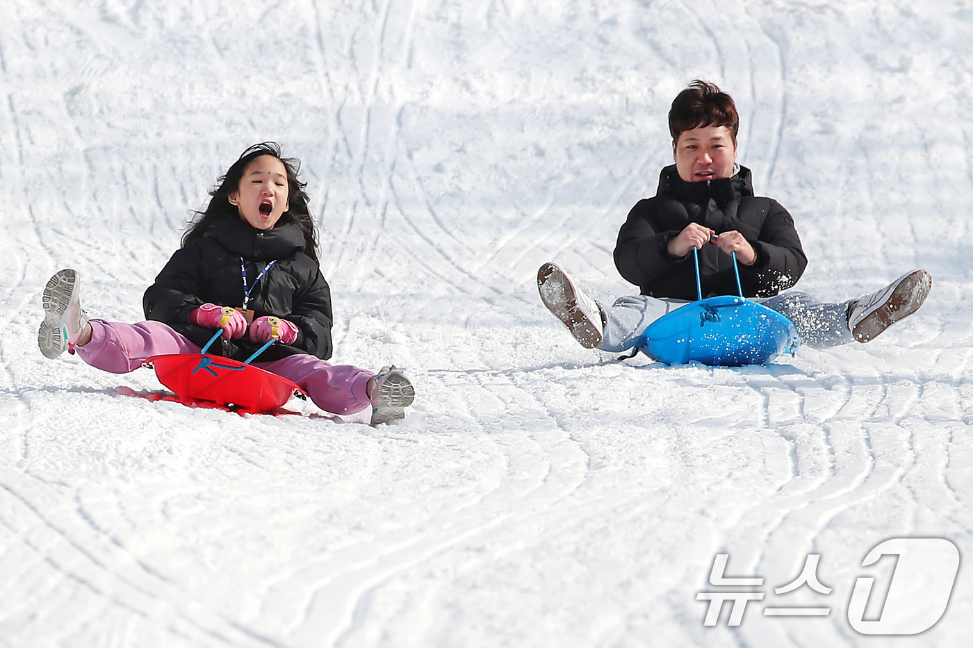 (대구=뉴스1) 공정식 기자 = 동장군이 맹위를 떨친 5일 오후 대구 달서구 테마파크 이월드를 찾은 가족이 눈썰매장에서 신나게 눈썰매를 타고 있다. 2025.2.5/뉴스1