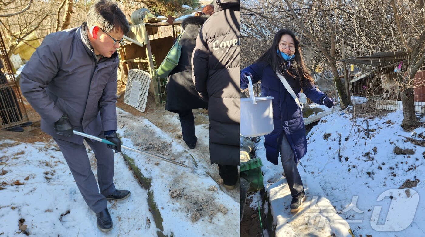 본문 이미지 - 강남구청 지역경제과 공무원들이 구조 현장에 나와 눈길에 연탄을 뿌려 봉사자와 활동가들이 미끄러지지 않도록 작업하고 개들에게 물을 주고 있다.  이동윤 주무관&#40;왼쪽&#41;과 채소진 주무관 ⓒ 뉴스1 한송아 기자