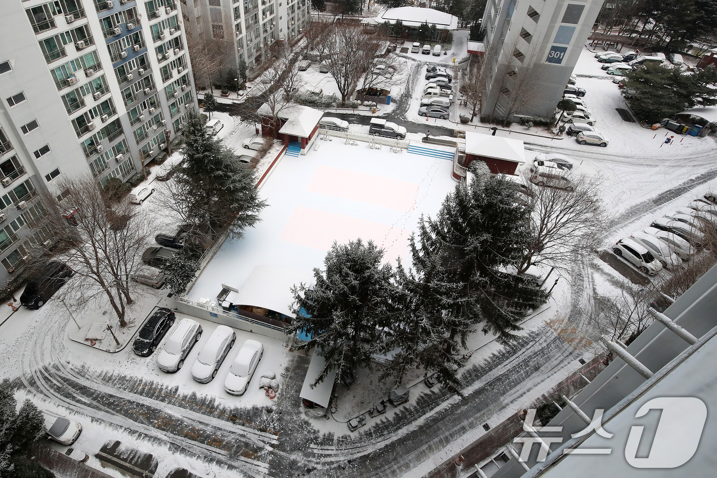 (대구=뉴스1) 공정식 기자 = 밤사이 눈이 내린 7일 오전 대구 도심 한 아파트 단지에 눈이 쌓여 있다. 2025.2.7/뉴스1