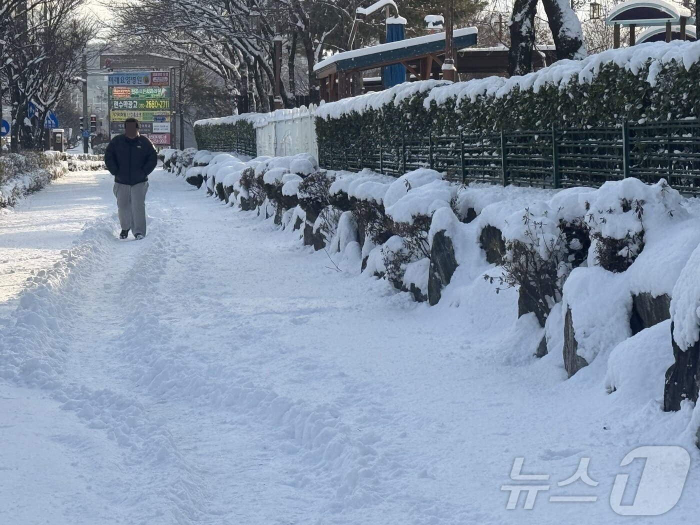 본문 이미지 - 7일 오전 8시께 전북자치도 전주시 완산구 효자동에서 한 시민이 발목까지 쌓인 눈길을 걸어가고 있다. ⓒ News1 장수인 기자