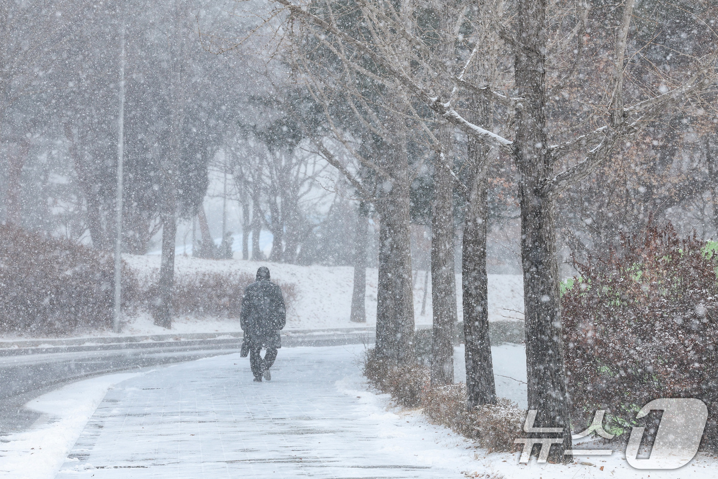 (의왕=뉴스1) 신웅수 기자 = 강추위 속 전국 곳곳에 눈이 내린 7일 오전 경기 의왕시 일대에서 시민들이 발걸음을 옮기고 있다. 2025.2.7/뉴스1