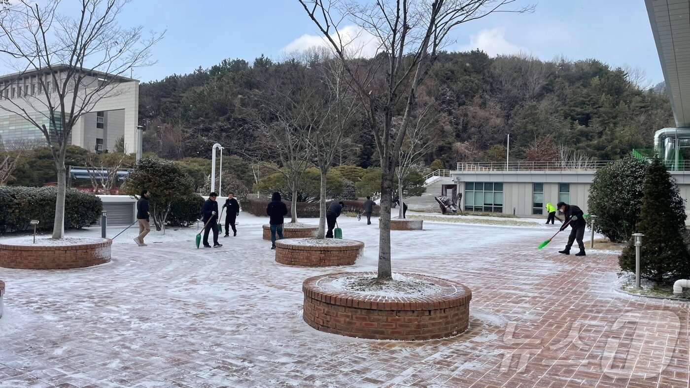 본문 이미지 - 7일 오전 경남도청에 눈이 쌓이자 직원들이 제설 작업에 나서고 있다. 2025.2.7 ⓒ 뉴스1 강정태 기자