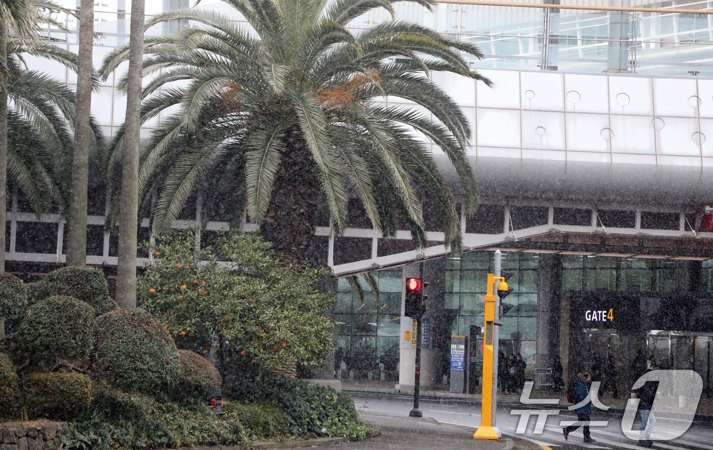 본문 이미지 - 7일 오후 눈보라가 치는 제주국제공항에서 관광객들이 횡단보도를 건너고 있다. 이날 제주는 강풍과 많은 눈으로 항공편 운항이 차질을 빚고 있다. 2025.2.7/뉴스1 ⓒ News1 고동명 기자