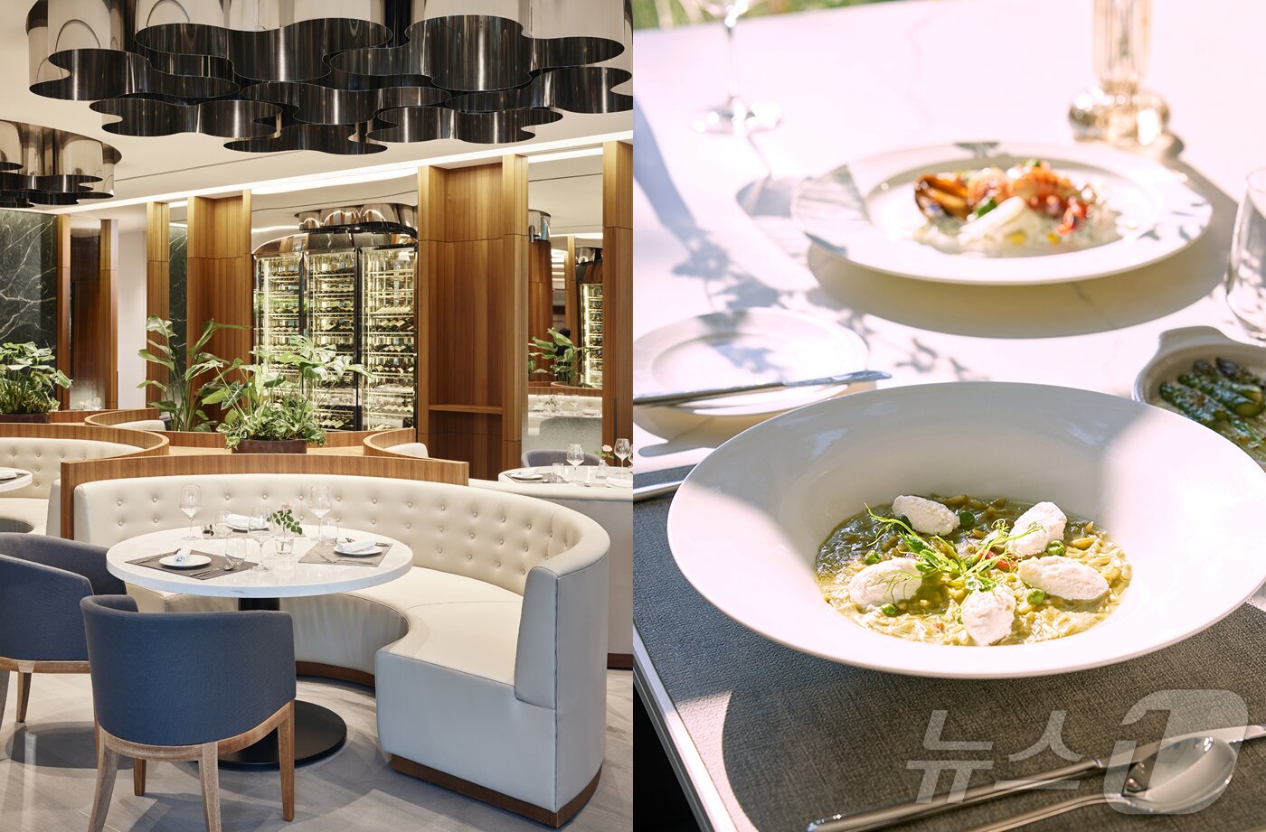 본문 이미지 - 메이필드호텔의 레스토랑 더 큐와 음식들.(메이필드호텔 제공)