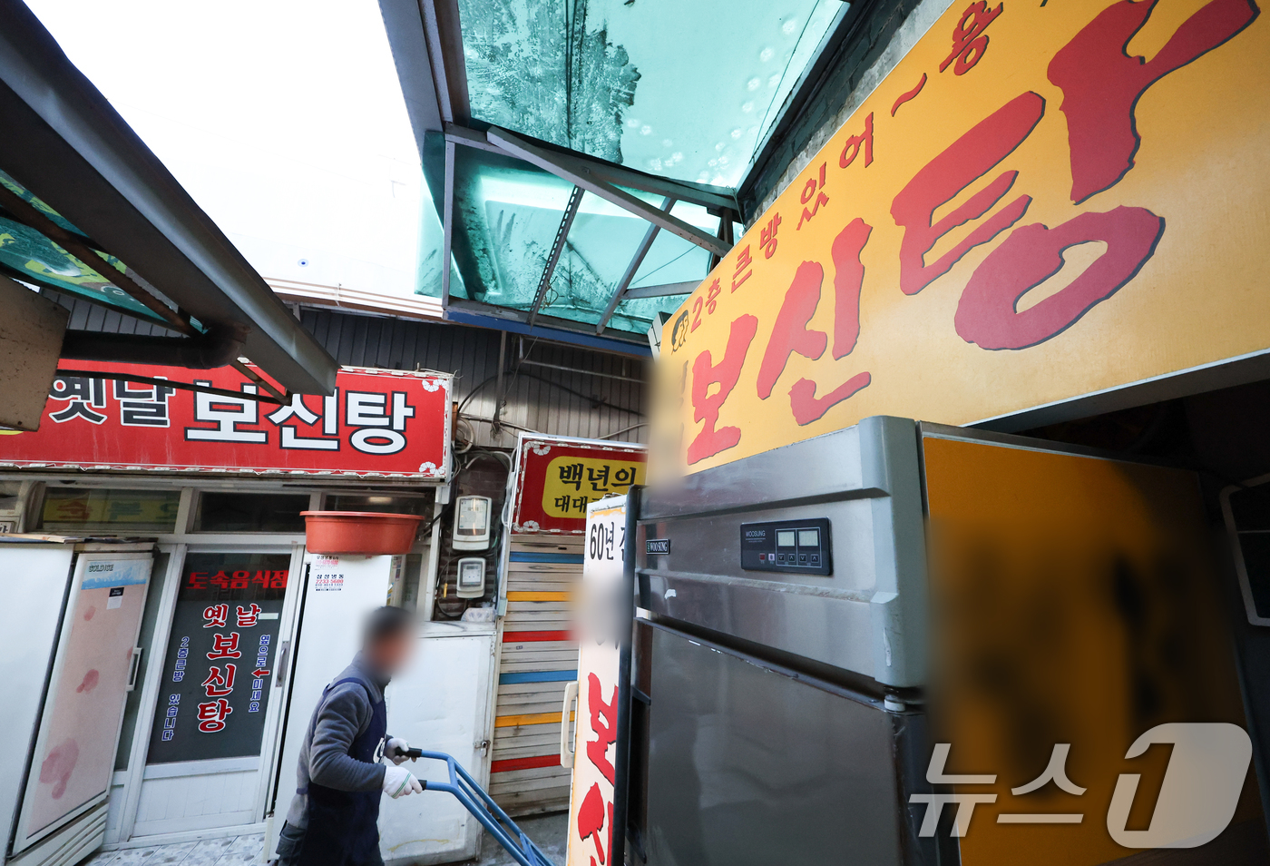 (서울=뉴스1) 허경 기자 = 개 식용 종식법이 시행된 지 반년 만에 개 사육농장 10곳 중 4곳이 문을 닫은 것으로 나타났다. 정부는 올해 전체의 총 60% 농장이 폐업할 것으로 …