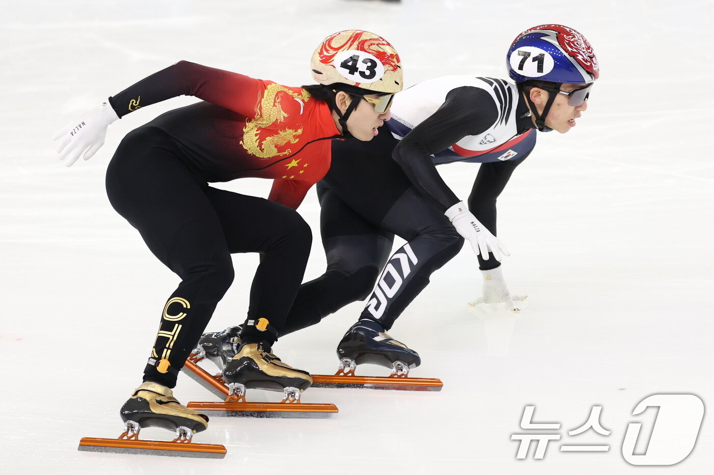 본문 이미지 - 2025년 2월 중국 헤이룽장성 하얼빈 빙상훈련센터 다목적홀에서 열린 하얼빈 동계아시안게임 쇼트트랙 남자 1000m 준결승에서 박지원과 중국 대표팀 린샤오쥔(한국명 임효준)의 모습. ⓒ 뉴스1 이승배 기자