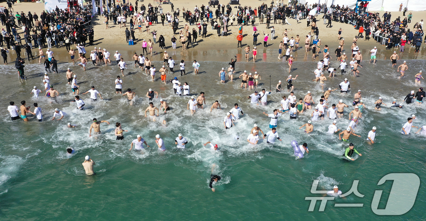 (부산=뉴스1) 윤일지 기자 = 9일 부산 광안리해수욕장에서 열린 제38회 부산 북극곰축제에서 참가자들이 차가운 겨울 바다에 뛰어들고 있다. (부산일보 제공) 2025.2.9/뉴스 …