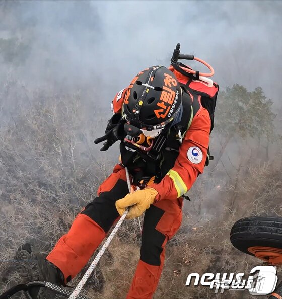 본문 이미지 - 산림청 산림항공본부 공중진화대원들이 헬기 급속로프를 이용 산불 가운데 뛰어드는 모습.(산림청 제공.재판매 및 DB금지)/뉴스1
