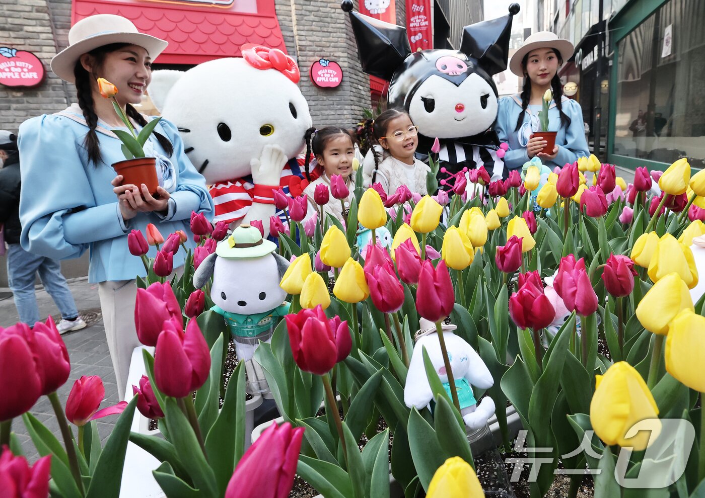 본문 이미지 - 11일 오전 서울 중구 명동 헬로키티 애플카페 앞에서 헬로키티와 쿠로미 캐릭터들이 에버랜드 튤립축제 개막을 알리기 위해 어린이들에게 싱그러운 튤립 화분을 선물하고 있다.  2025.3.11/뉴스1 ⓒ News1 오대일 기자