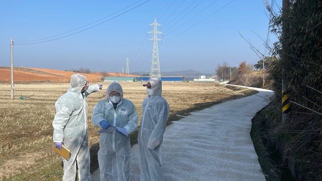 영광군, 고병원성 조류인플루엔자 확산 방지 총력