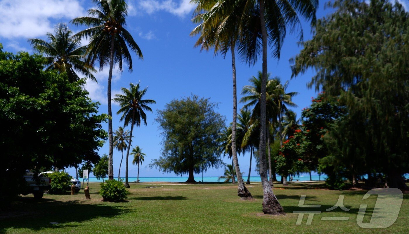 본문 이미지 - 마이크로 비치. 2025.3.8/뉴스1 ⓒ News1 윤슬빈 기자