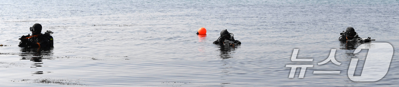 (포항=뉴스1) 최창호 기자 = 해병대 1사단 수색대대가 전날인 11일 오후 포항시 남구 도구해안에서 해상침투훈련을 실시했다.이번 훈런은 장거리 수중침투절차 숙달 등 수중 환경에 …