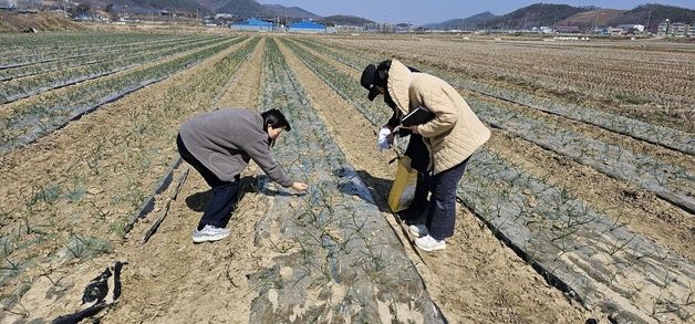 "농작물 병해충 조기 차단"…농진청 '중앙 예찰단' 운영