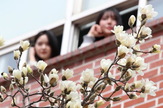 [오늘의 날씨]울산(20일, 목)…일교차 커, 해안 높은 물결