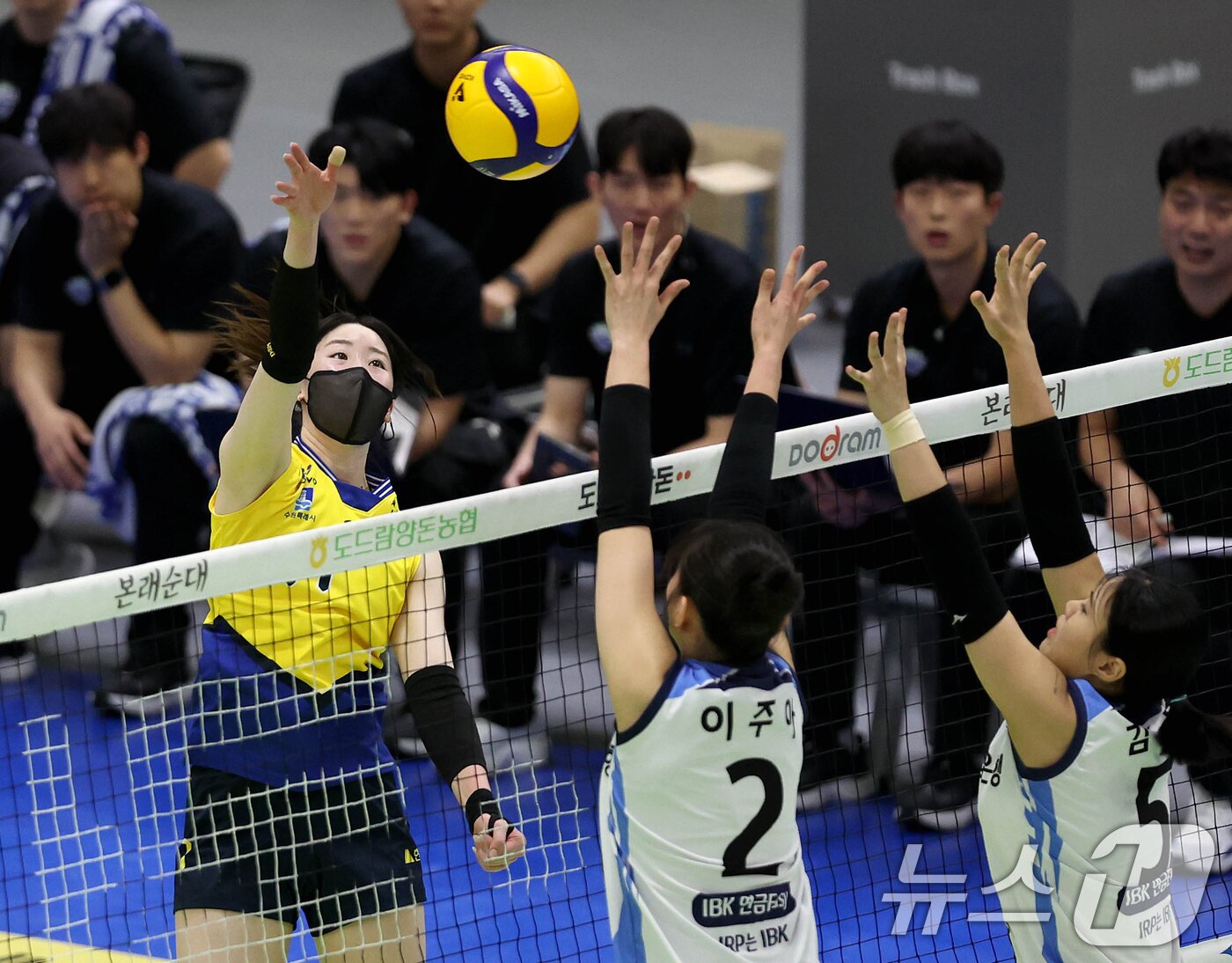 본문 이미지 - 13일 오후 수원실내체육관에서 열린 프로배구 여자부 2024-25 도드람 V-리그 현대건설과 기업은행의 경기에서 현대건설 고예림이 공격을 시도하고 있다. &#40;현대건설 배구단 제공. 재판매 및 DB 금지&#41; 2025.3.13/뉴스1