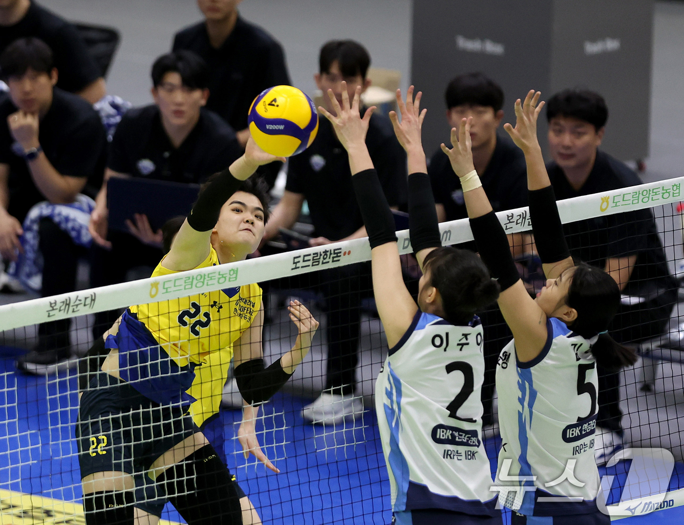 (서울=뉴스1) = 13일 오후 수원실내체육관에서 열린 프로배구 여자부 2024-25 도드람 V-리그 현대건설과 기업은행의 경기에서 현대건설 서지혜가 공격을 시도하고 있다. (현대 …