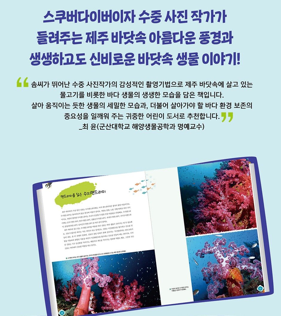 본문 이미지 - 댕글댕글~ 제주 바닷속에서 만나는 친구들