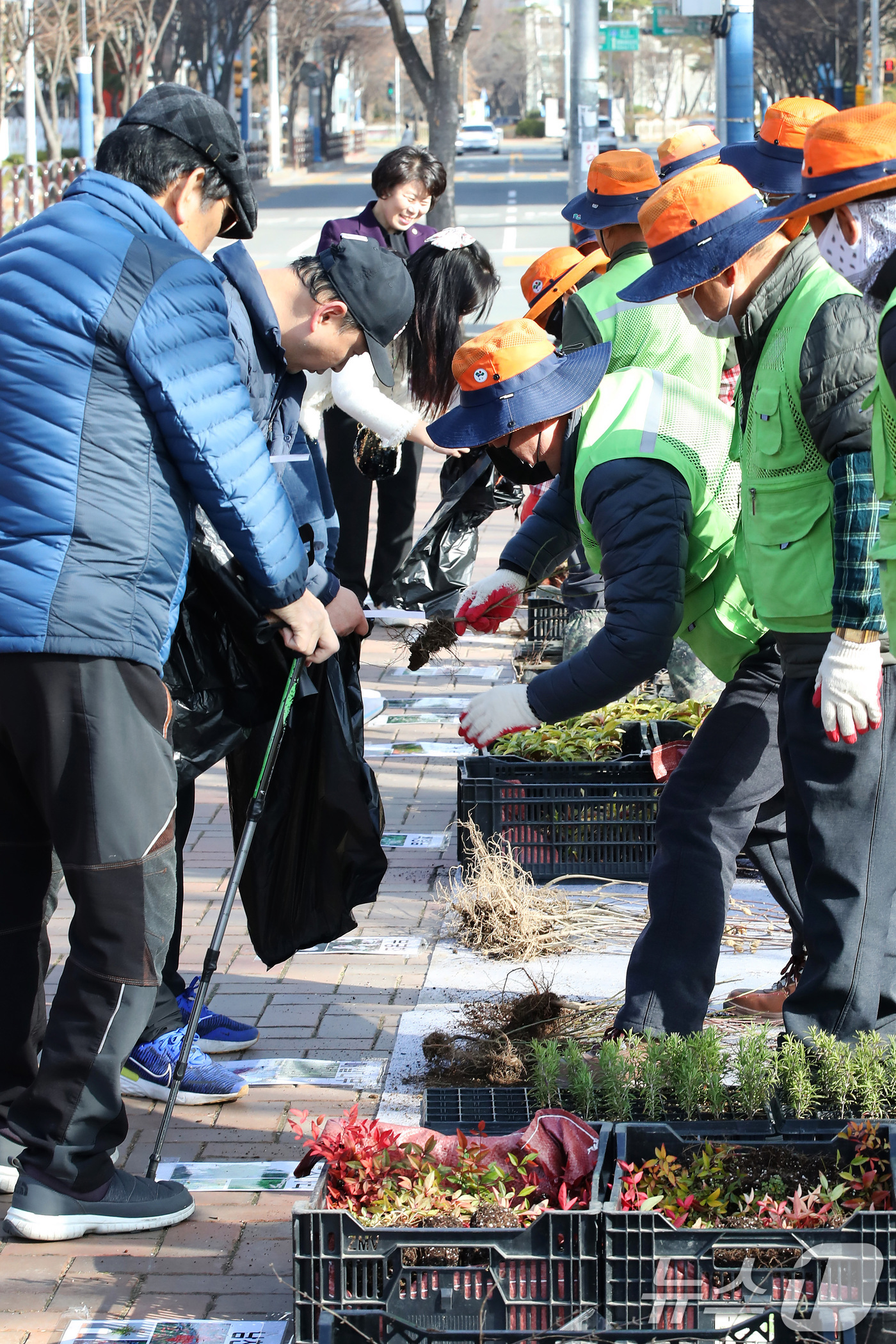 (대구=뉴스1) 공정식 기자 = 제80회 식목일을 앞두고 14일 오전 대구 동구 율하체육공원에서 '2025 내 나무 갖기 캠페인'을 위한 봄철 나무 나누어주기 행사를 찾은 주민들이 …