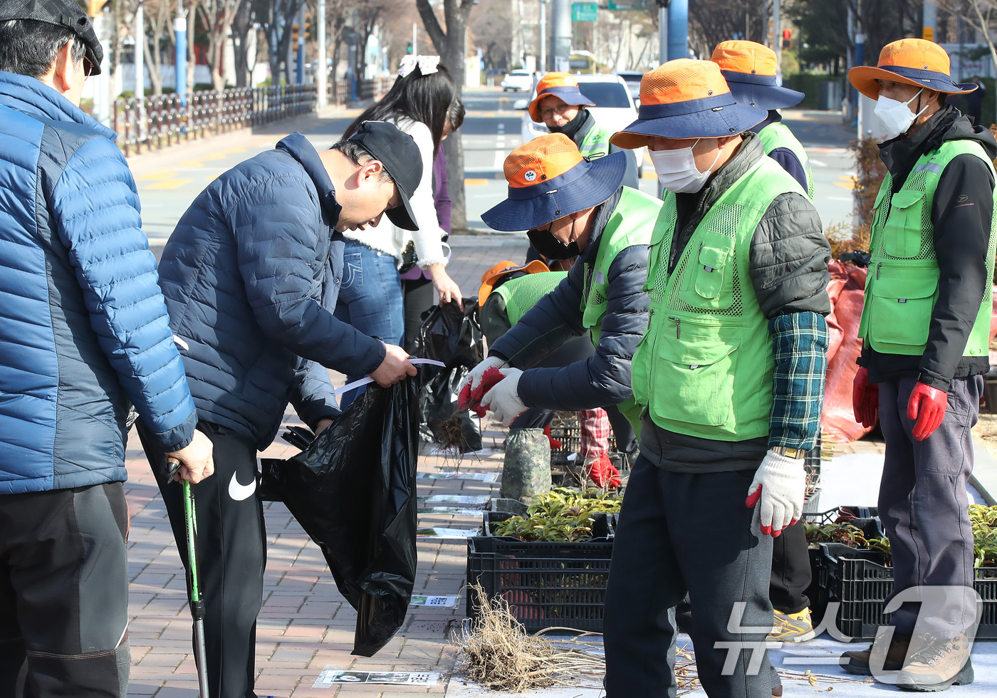 (대구=뉴스1) 공정식 기자 = 제80회 식목일을 앞두고 14일 오전 대구 동구 율하체육공원에서 '2025 내 나무 갖기 캠페인'을 위한 봄철 나무 나누어주기 행사를 찾은 주민들이 …