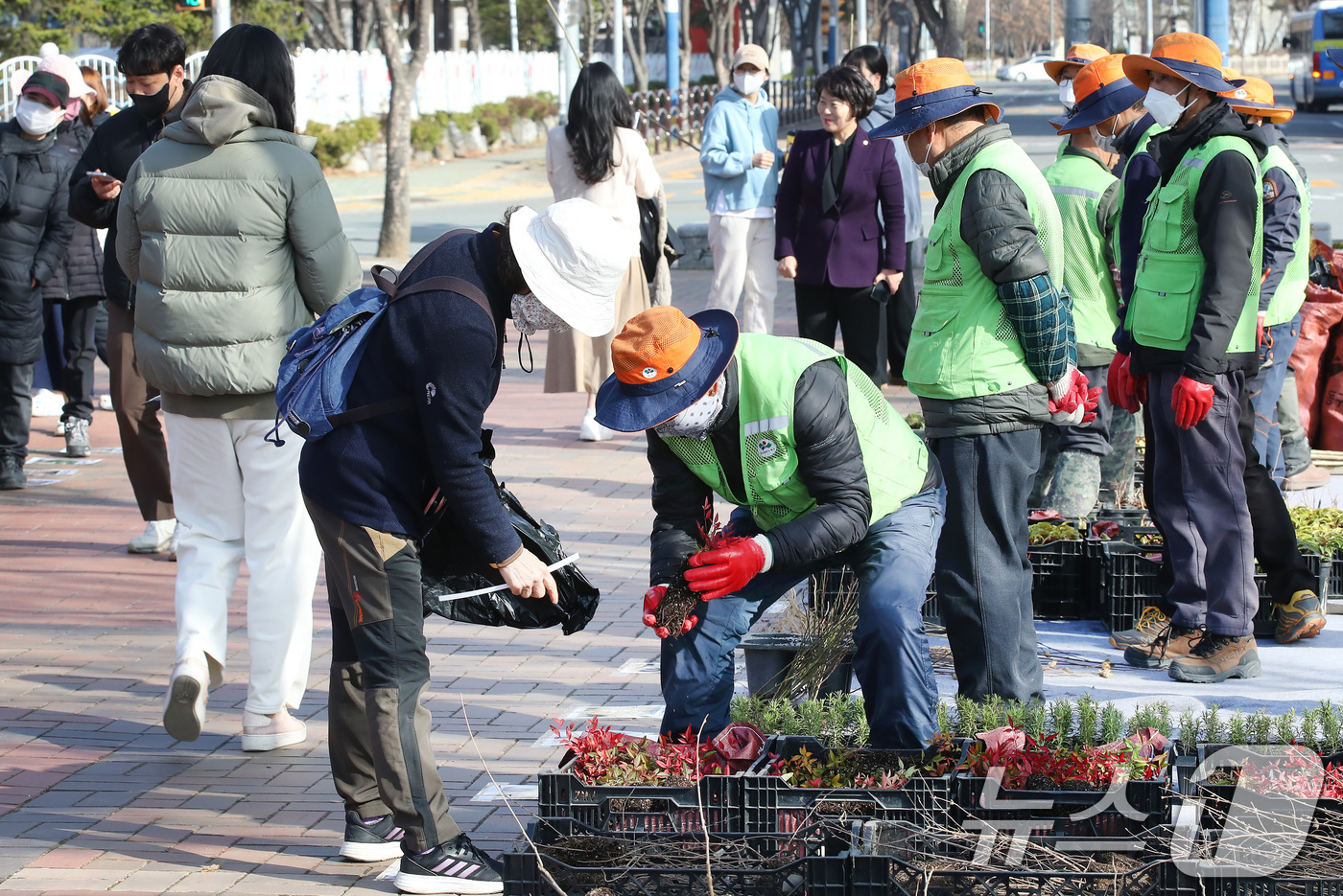 (대구=뉴스1) 공정식 기자 = 제80회 식목일을 앞두고 14일 오전 대구 동구 율하체육공원에서 '2025 내 나무 갖기 캠페인'을 위한 봄철 나무 나누어주기 행사를 찾은 주민들이 …