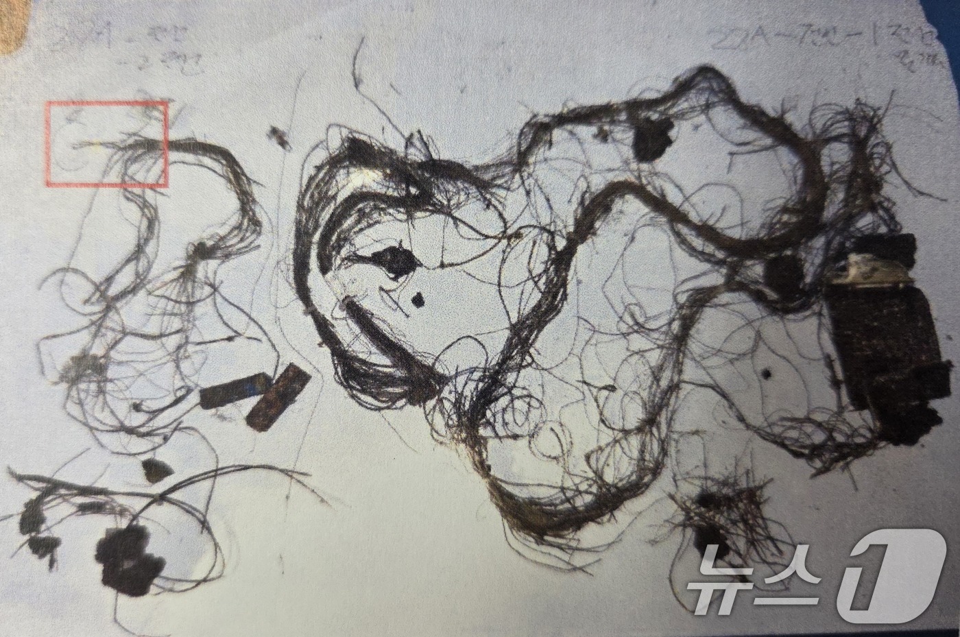 (서울=뉴스1) = 항공·철도사고조사위원회가 지난 1월 28일 김해공항에서 발생한 에어부산 여객기 화재 사고조사 진행현황을 14일 발표했다.사진은 지난 2월 3일 수행한 합동 화재 …