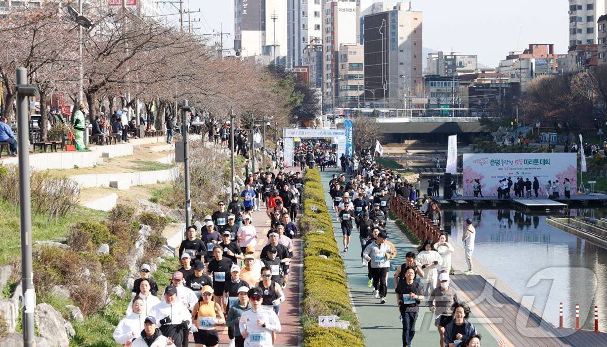 본문 이미지 - 지난해 열린 &#39;2024 은평 벚꽃 마라톤대회&#39; 모습.&#40;은평구 제공&#41;