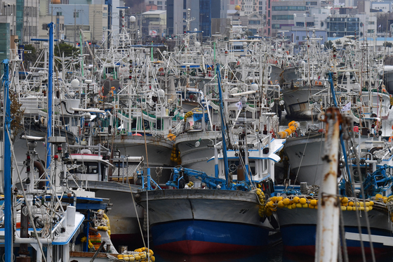 연근해어선 대상…해수부 31일까지 수산자원 보호 직접지불금 신청 접수